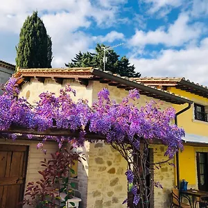 Il Cortile Delle Rose House Vakantiehuis